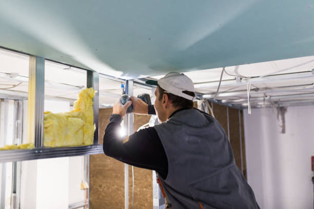 Best Geographic-Specific Insulation Services in Elyria, OH