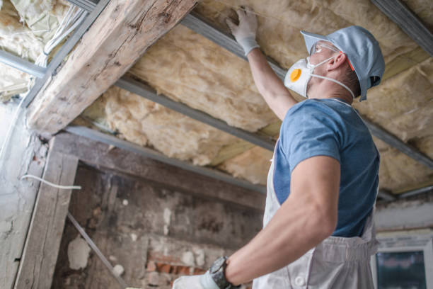 Best Spray Foam Insulation in Elyria, OH