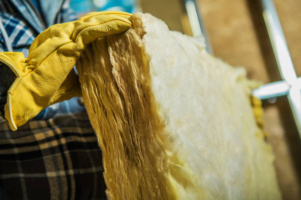 Best Specialized Insulation Services in Elyria, OH
